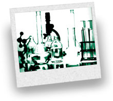 n-bomb: היסטוריה קצרה